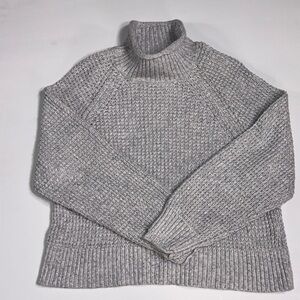 Sz M American Eagle Turtleneck